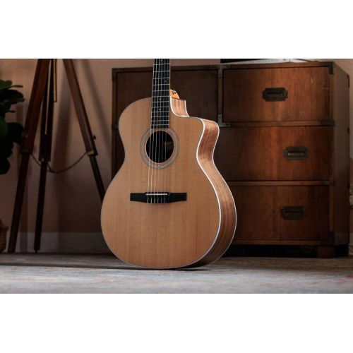 Гитара электроакустическая Taylor 214ce-N